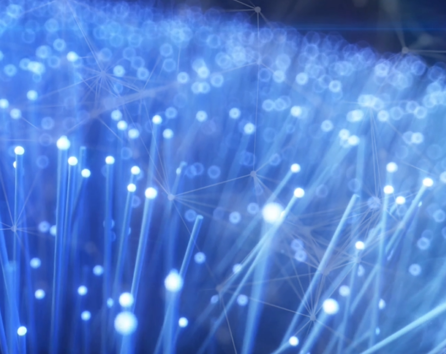 darkfiber_questionnaire